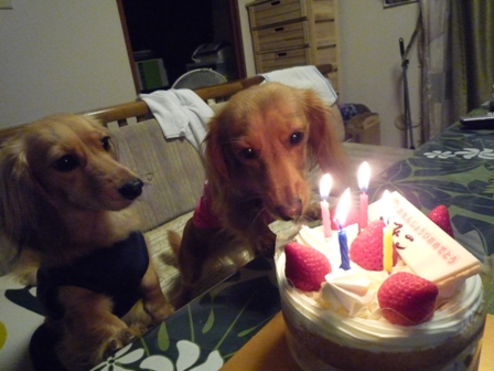 037_20110721230751.jpg