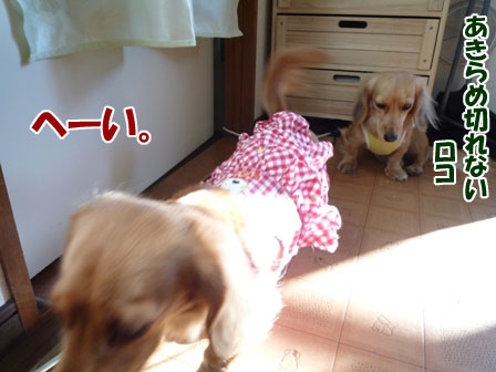 006_20101209212405.jpg