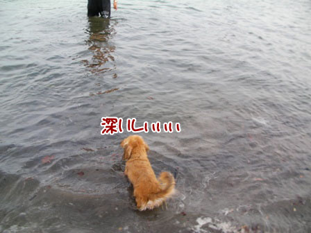 113_20110802003935.jpg