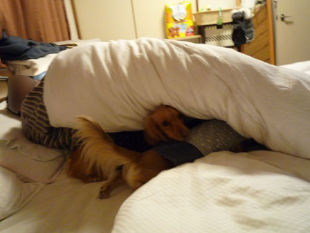 006_20120127231811.jpg