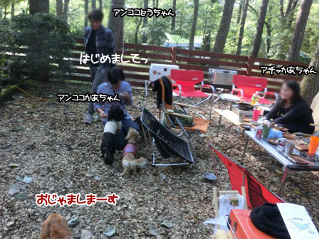 20151003014.jpg