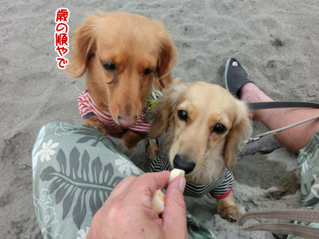 201606095.jpg