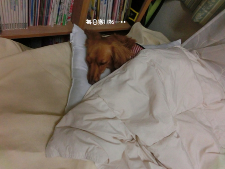 005_201412142358527d7.jpg