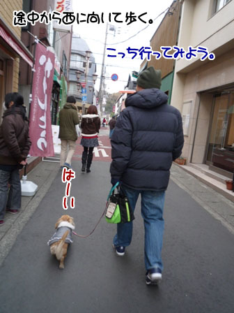 005_20120116234658.jpg