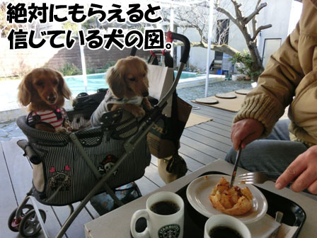 006_20130225223558.jpg