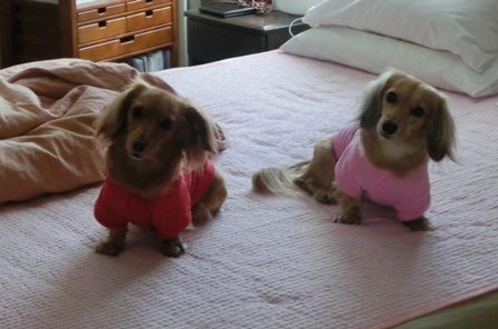 002_20120913235307.jpg
