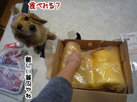 013_20120327233539.jpg