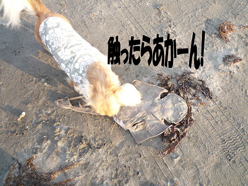 e5933e43.jpg