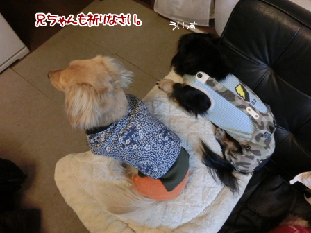 201601183.jpg