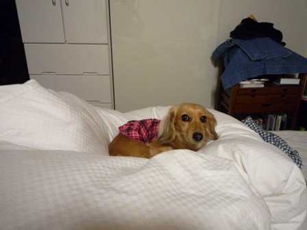 027_20110428235203.jpg