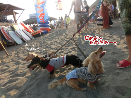 006_20140727013333ac9.jpg
