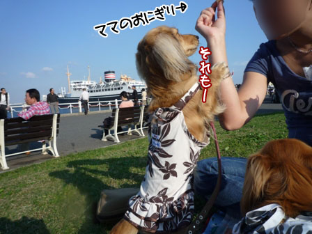 017_20111030132014.jpg
