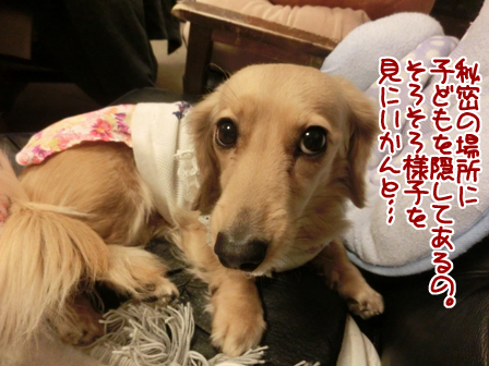 201602264.jpg