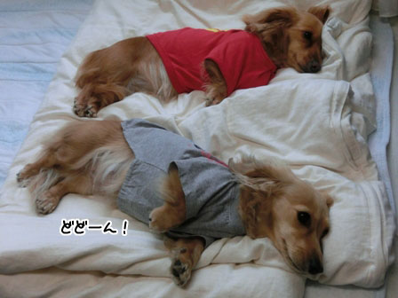 002_20130529234028.jpg