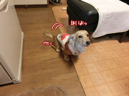 007_20130123224129.jpg