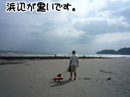 060_20110721230750.jpg