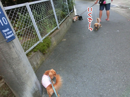 003_20140826213903adb.jpg