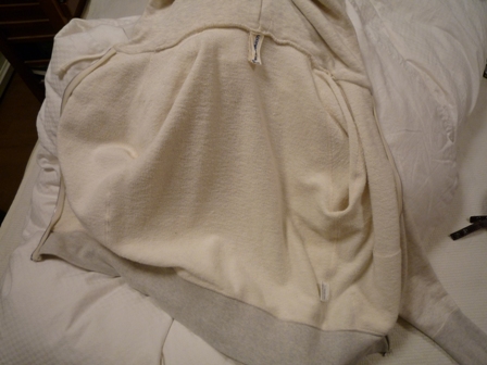 013_20101203233114.jpg