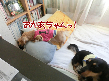 201602204.jpg