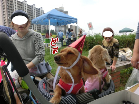20151011009.jpg