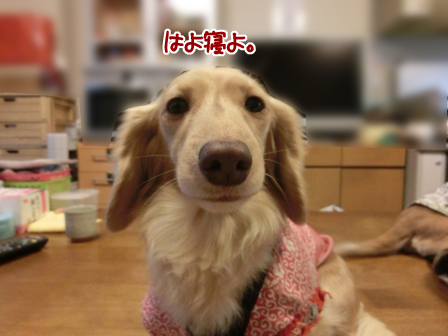 201603232.jpg