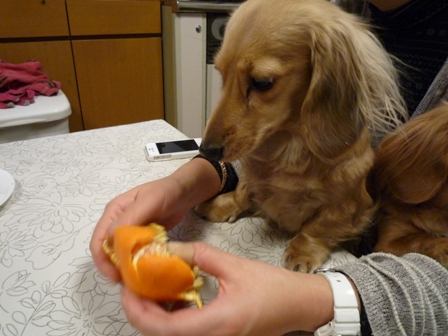 016_20120117224731.jpg
