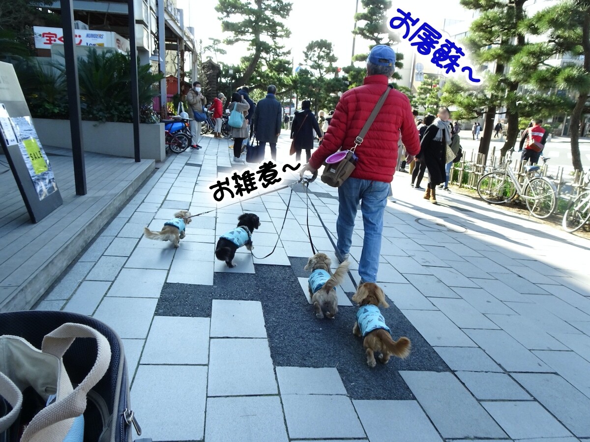 鎌倉に行ってきました お雑煮とビリー君 メルロコ一家の横須賀ストーリー Powered By ライブドアブログ 鎌倉に行ってきました お雑煮とビリー君 メルロコ一家の横須賀ストーリー Powered By ライブドアブログ