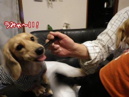 018_20141227004943ecd.jpg