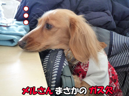 033_20110214001407.jpg