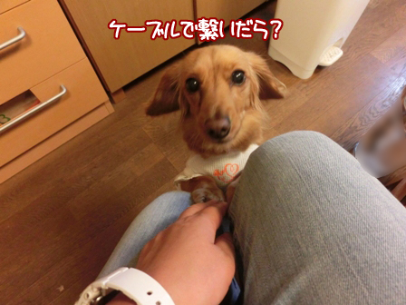 009_2015060823341878d.jpg