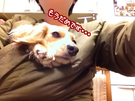 005_20120307234402.jpg