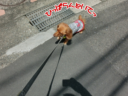 201606042.jpg