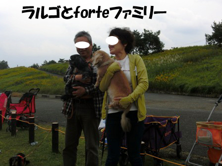 20151011031.jpg