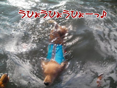 003_20110828225932.jpg