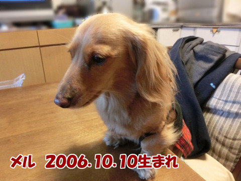 プロフィール01