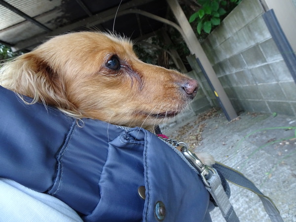 m-20190620-8