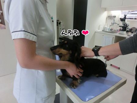 201606203.jpg