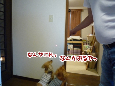 037_20110529233449.jpg