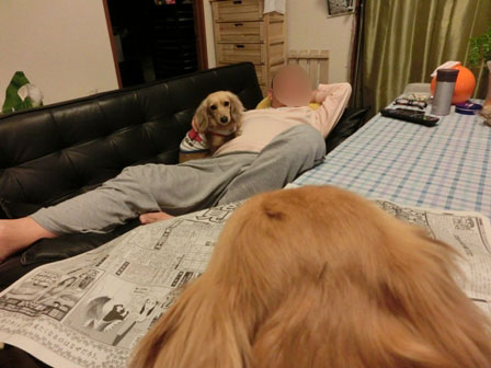 005_20130423223841.jpg