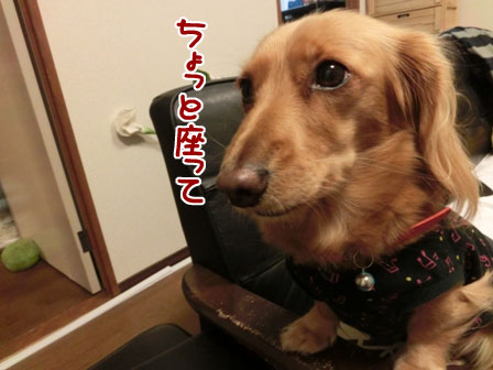 007_20131207000442adc.jpg