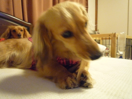 021_20110704130216.jpg