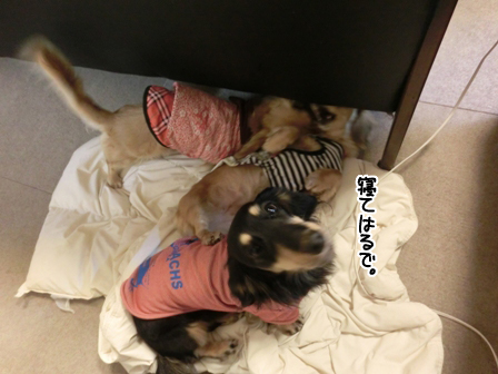 2016020513.jpg