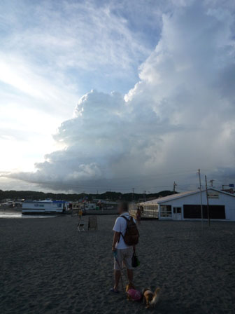 036_20110901003859.jpg