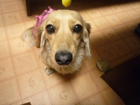 010_20110429221520.jpg