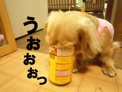 f0e8a979.jpg