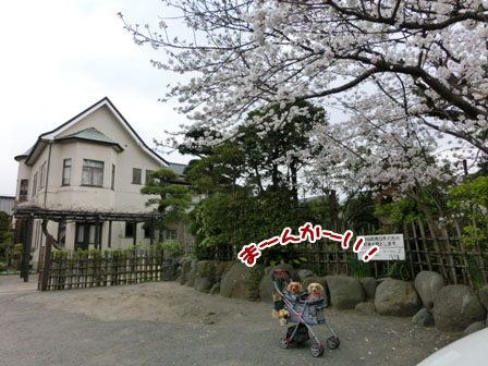 007_20130323231100.jpg