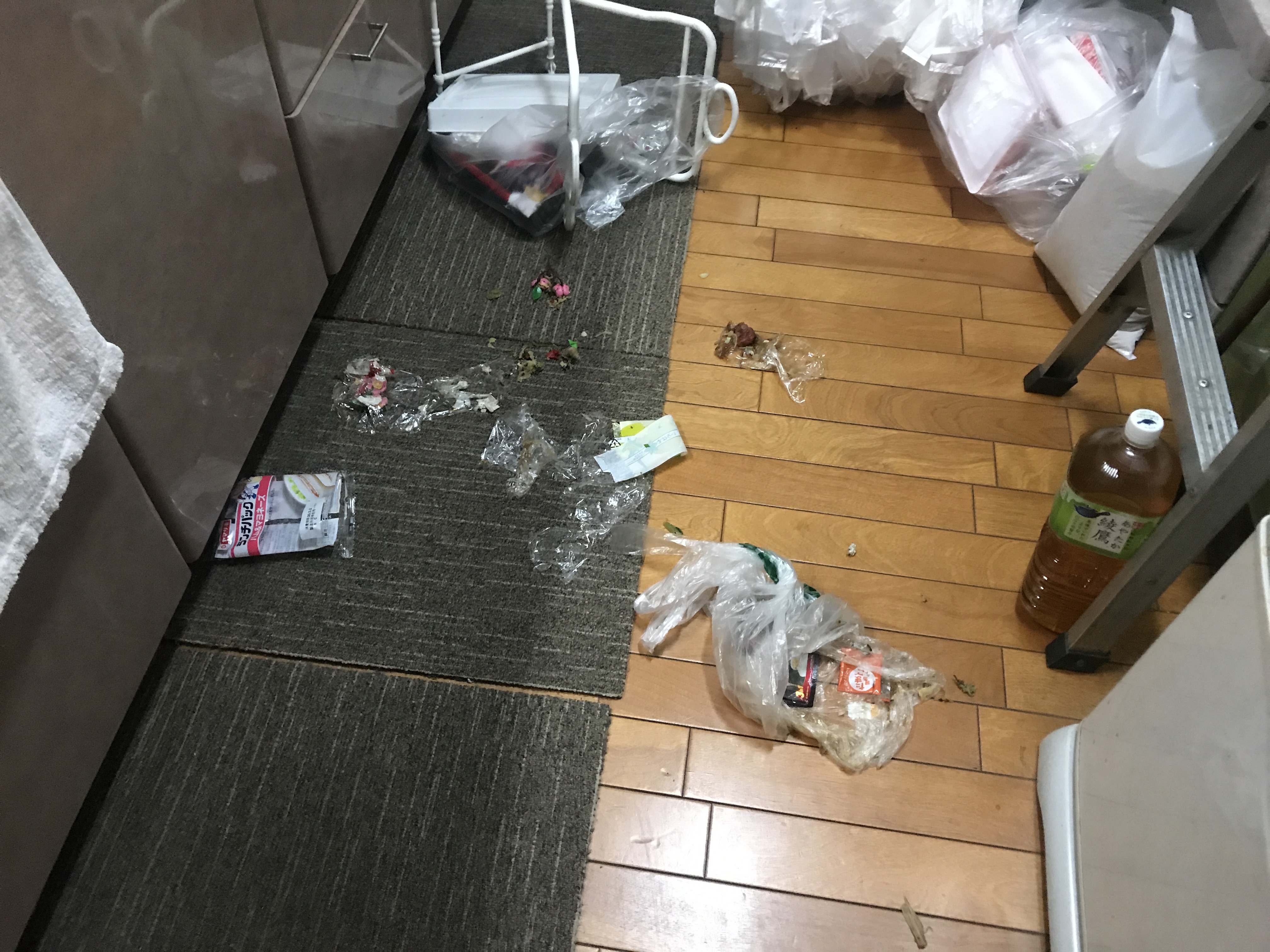 容疑者は犯行現場に舞い戻る メルロコ一家の横須賀ストーリー Powered By ライブドアブログ 容疑者は犯行現場に舞い戻る メルロコ一家の横須賀ストーリー Powered By ライブドアブログ