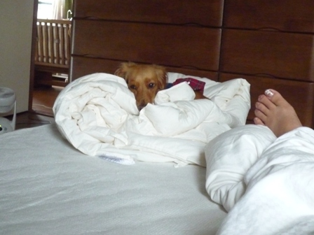 003_20110627214755.jpg