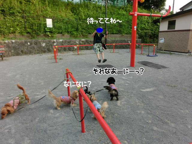 初めてのブランコで大騒ぎ メルロコ一家の横須賀ストーリー Powered By ライブドアブログ