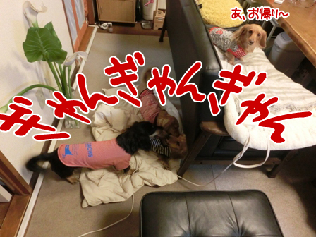 2016020511.jpg